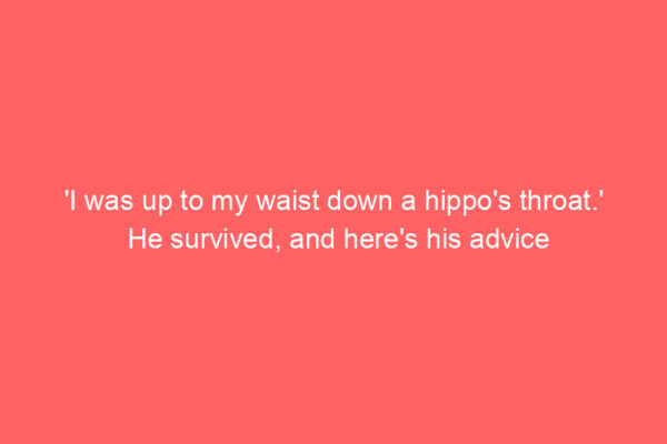‘I was up to my waist down a hippo’s throat.’ He survived, and here’s his advice